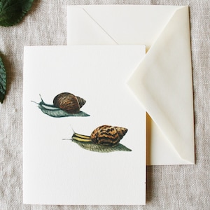Tarjetas de felicitación para correo postal / Tarjetas de felicitación para correo postal / Juego de 10 tarjetas de felicitación en blanco con sobres