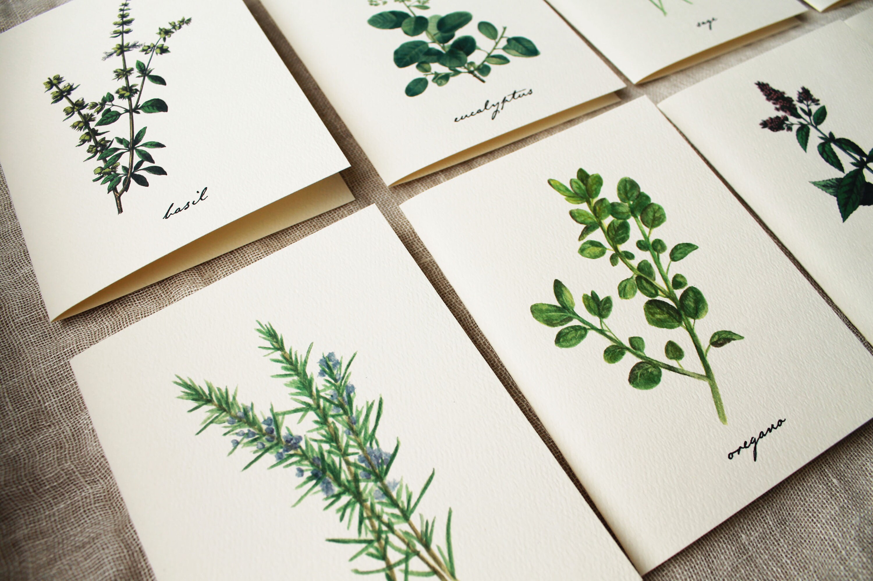 Herbal Variety Pack 10 Folded Note Cards With Envelopes | Etsy