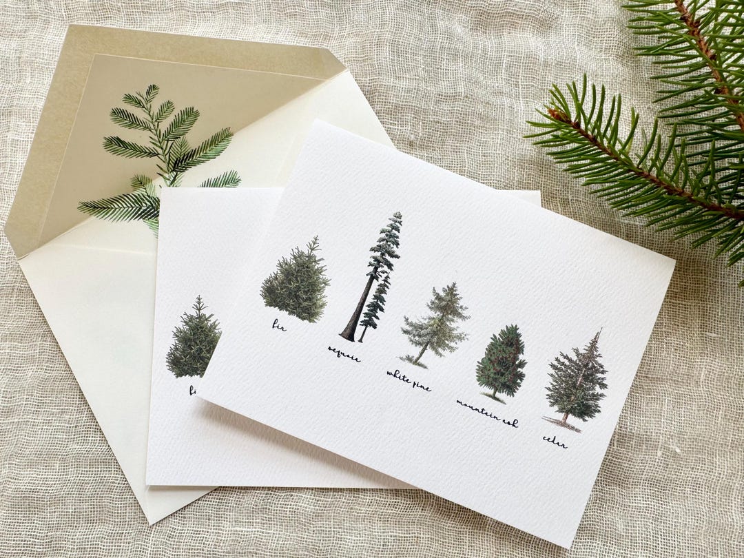 Winter Trees Cards Set of 10 | Folded Blank Greeting Cards With ...