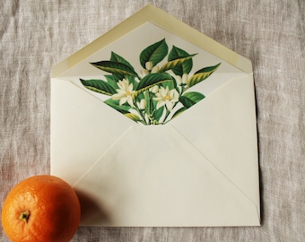 Orange Blossom Envelope Liners | Floral Lined Envelopes a7 | Botanical Envelope Liners a2 | Vintage Wedding Envelope Liners Download