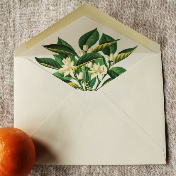Orange Blossom Envelope Liners | Floral Lined Envelopes a7 | Botanical Envelope Liners a2 | Vintage Wedding Envelope Liners Download