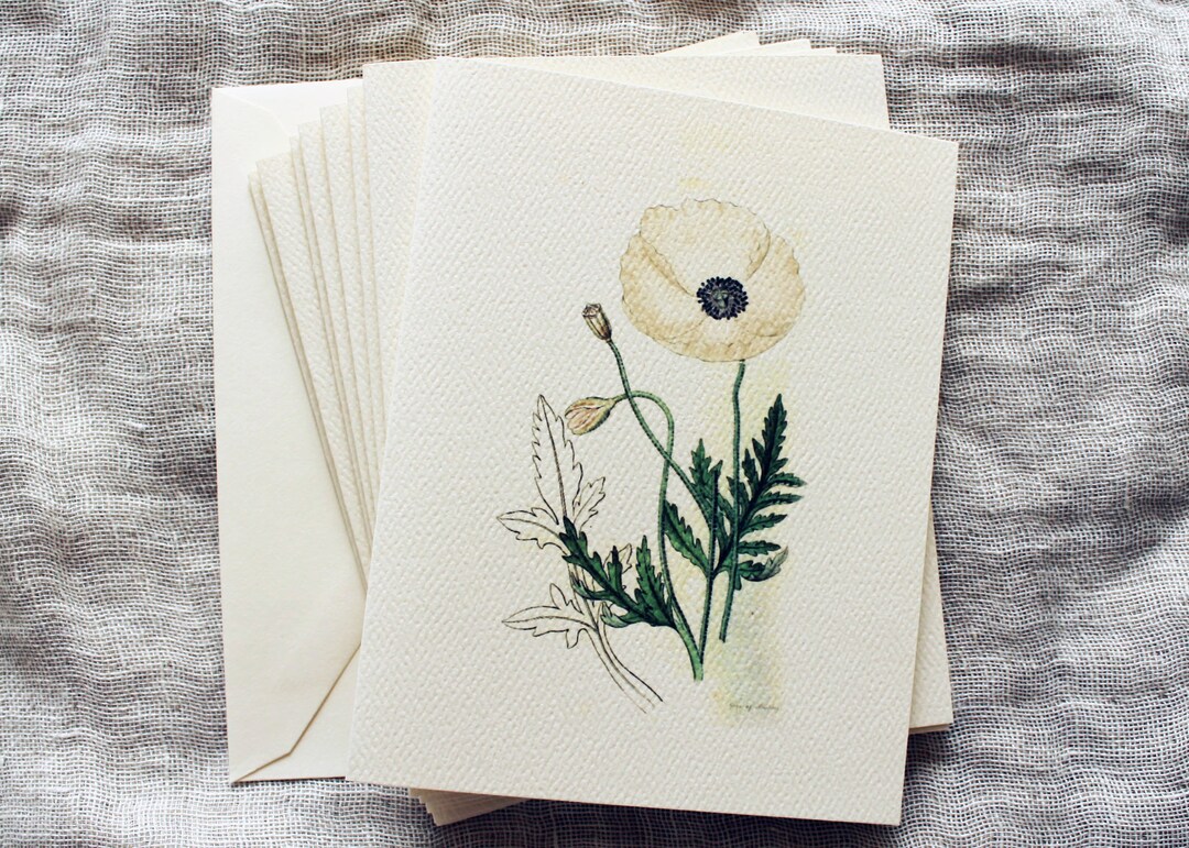 White Flower Folded Note Cards With Envelopes | 10 Poppy Greeting Cards ...