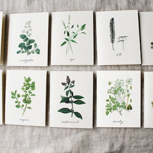 Variétés à base de plantes, paquet de 10 cartes de correspondance pliées avec enveloppes | Jeu de cartes de correspondance vierges Herbes | Cartes de voeux fleurs faites main | Carte de voeux de printemps