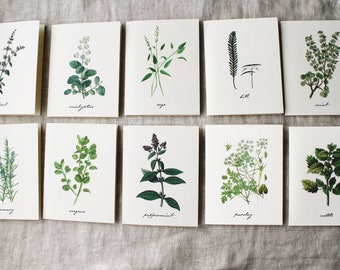Herbal Variety Pack 10 Folded Note Cards with Envelopes | Herbs Blank Note Card Set | Flower Greeting Cards Handmade | Spring Greeting Card