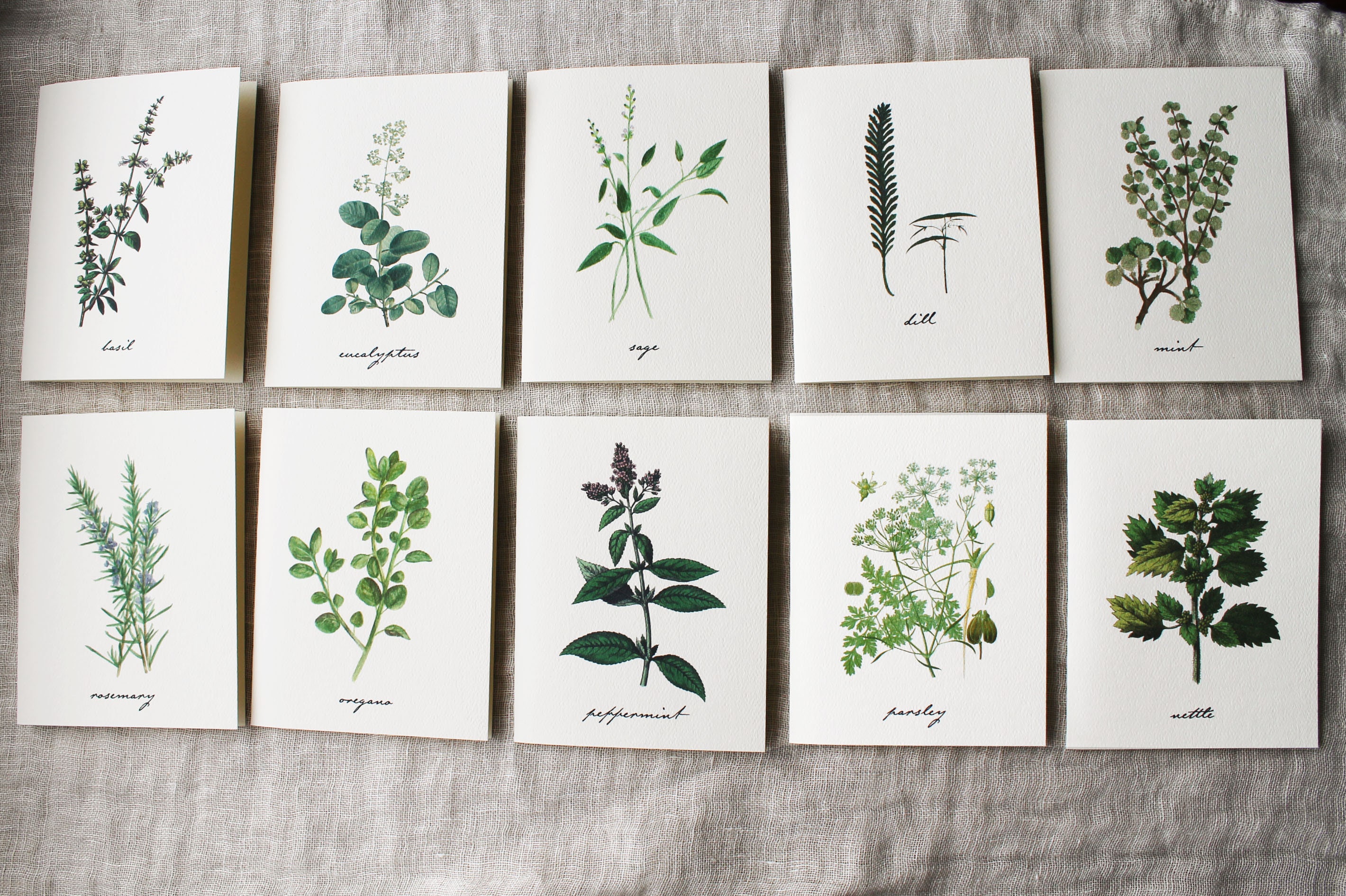 Herbal Variety Pack 10 Folded Note Cards With Envelopes | Herbs Blank ...