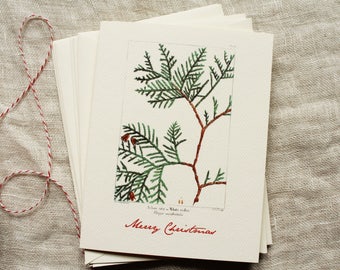 Christmas Cards Set | Blank Christmas Cards Set | Classic Christmas Cards | Vintage Style Christmas Cards | Modern Vintage Christmas Cards