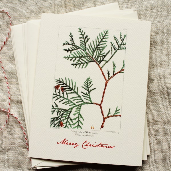 Christmas Cards Set | Blank Christmas Cards Set | Classic Christmas Cards | Vintage Style Christmas Cards | Modern Vintage Christmas Cards