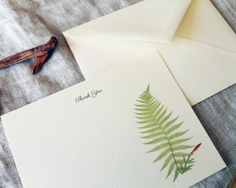 Green Fern Note Cards With Envelopes | Set of 24 Notecards Handmade ...