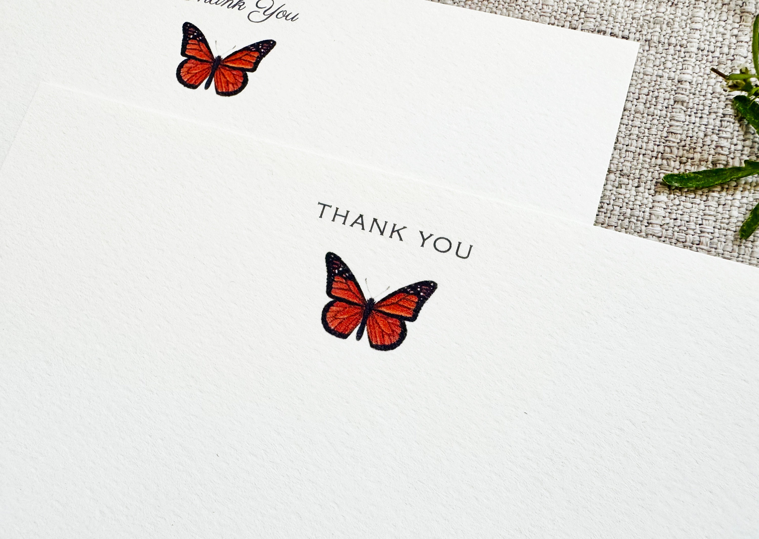 Monarch Butterfly Stationery Notecards - Set of 24 Note Cards With ...