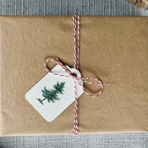 May include: A brown paper gift bag with a white gift tag tied with red and white twine. The gift tag has a watercolor illustration of a green pine tree.