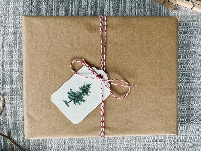 May include: A brown paper gift bag with a white gift tag tied with red and white twine. The gift tag has a watercolor illustration of a green pine tree.