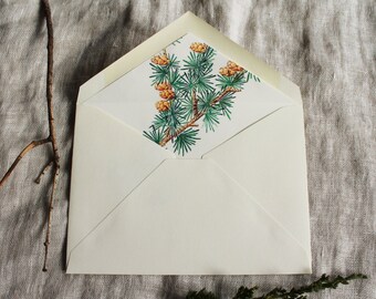 Pine Cone Envelope Liners | Botanical Envelope Liners a7 | Rustic Lined Envelopes a2 | Printable Envelope Liner | Woodland Stationery