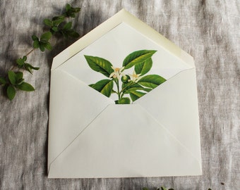 Lemon Blossom Envelope Liners | Botanical Envelope Liners a7 | Floral Lined Envelopes a2 | Spring Wedding Invitation Envelope Liners