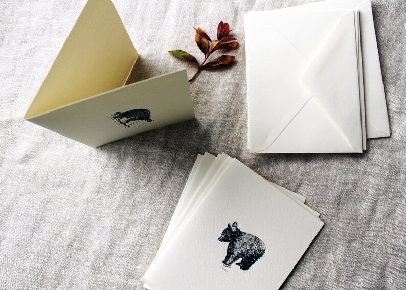 Bear Folded Note Cards With Envelopes Variety Pack of Cards Etsy
