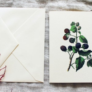 May include: A white card with a black and green illustration of a blackberry plant with ripe berries. The card is blank and ready for a message.
