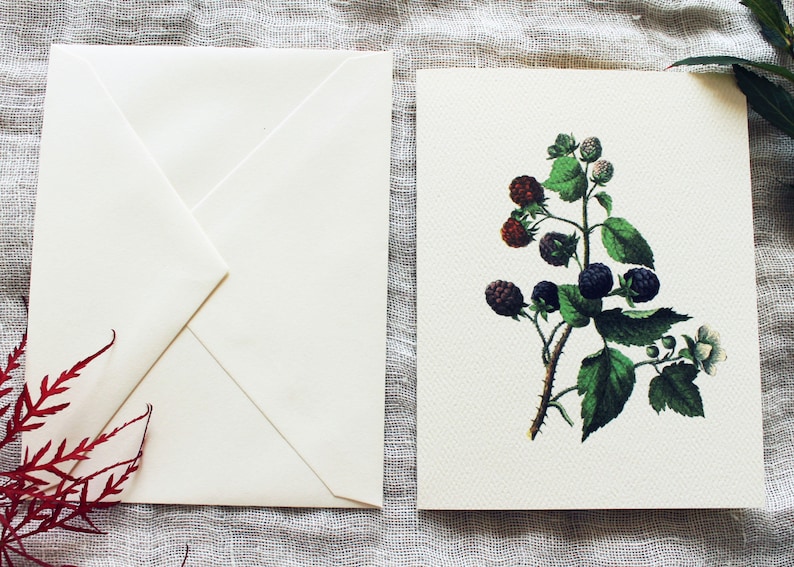 May include: A white card with a black and green illustration of a blackberry plant with ripe berries. The card is blank and ready for a message.