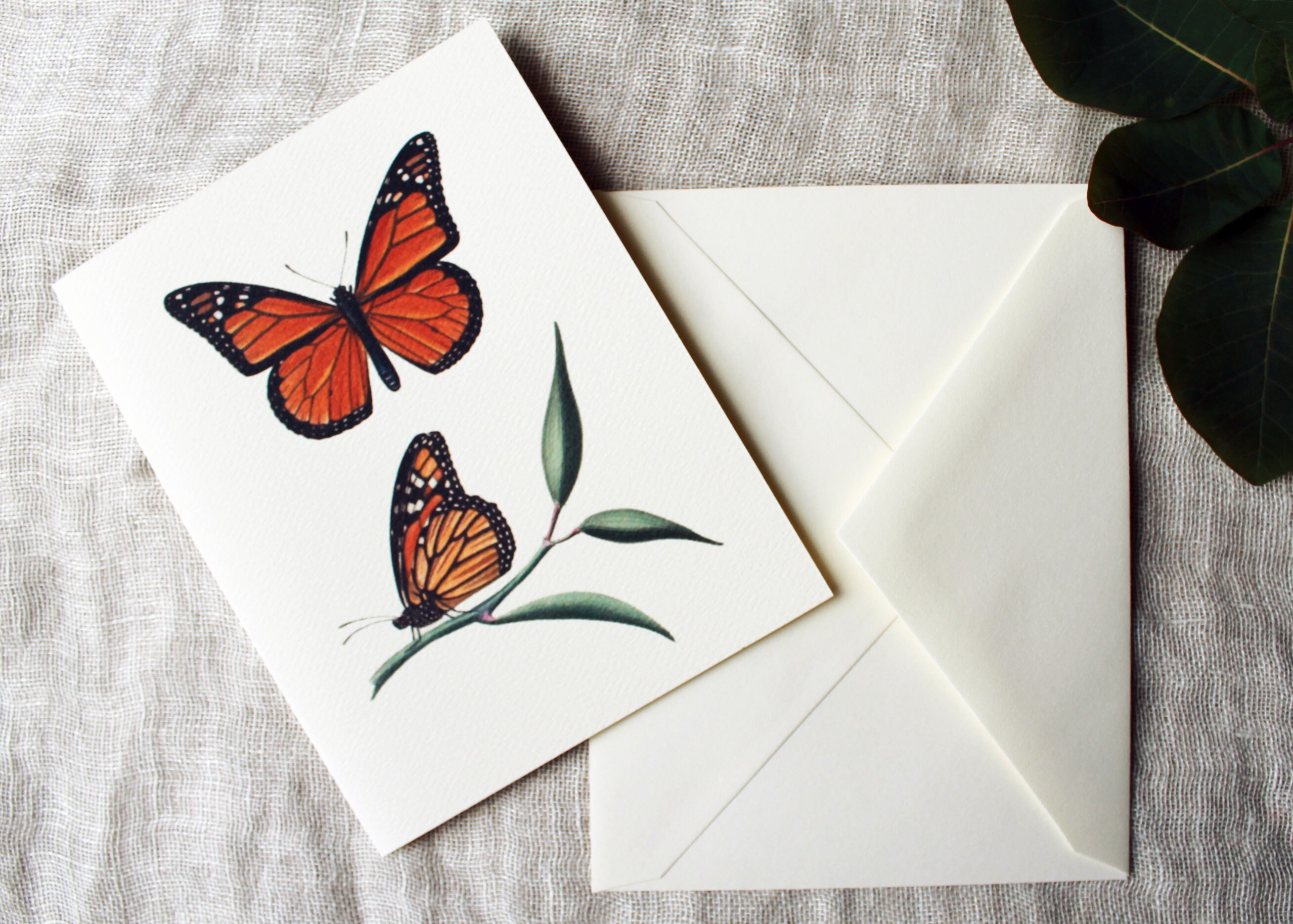 10 Butterfly Folded Note Cards With Envelopes | Monarch Greeting Card ...