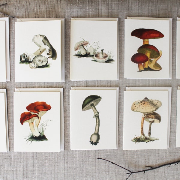 Mushroom Note Cards - Etsy