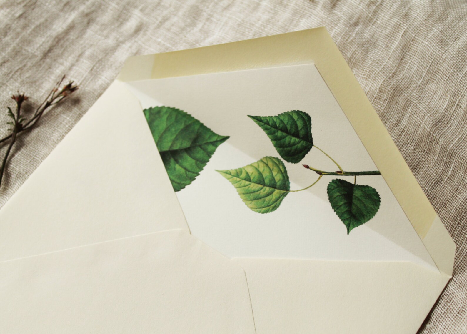 Leaf Envelope Liner Download Botanical Lined Envelopes a2 Etsy España
