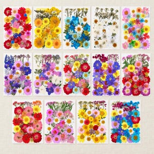 Pressed Dried Flowers and Leaves Material Pack, 14 Mix Options for Resin Art, Bookmarks, Botanical Frames & Scrapbooking