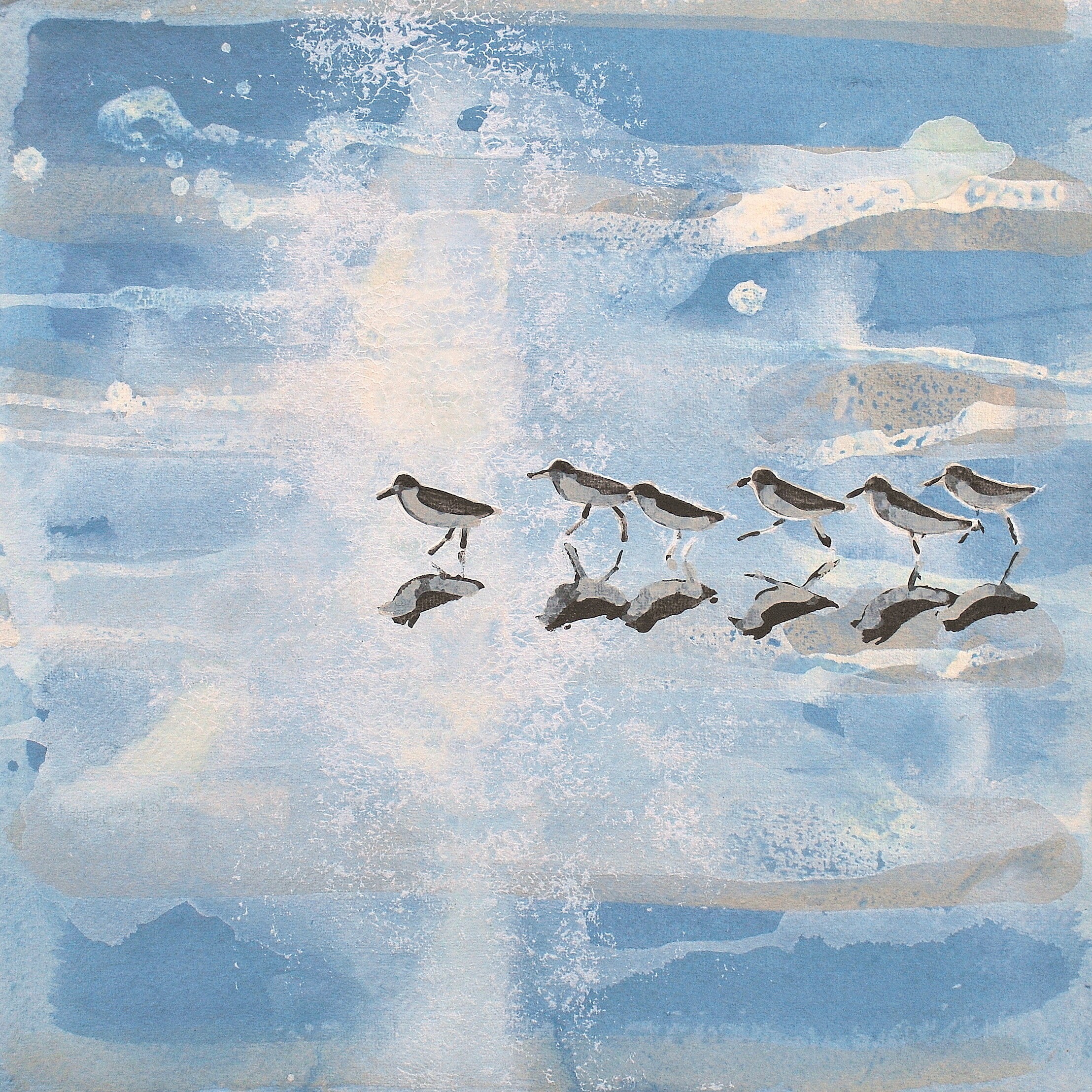 Cornwall Bird Wall Art Sea Birds Art Bird Lover Gifts Fine Etsy Polska