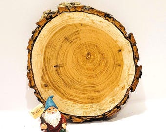 Cherry Log Slice, Rustic Wood Slice