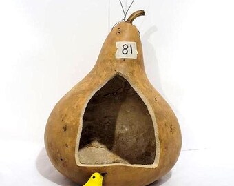 DIY Martin House Gourd: Large Birdhouse, Planter, or Birdfeeder