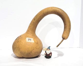 Large Long Handled Dipper, Natural Gourd
