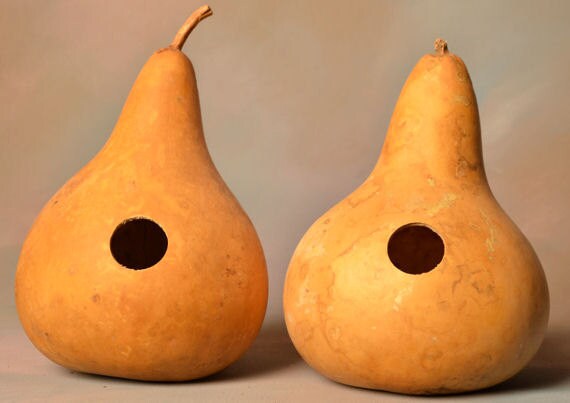 Two (2) Gourd Birdhouses, natural undecorated gourds, martin house go…