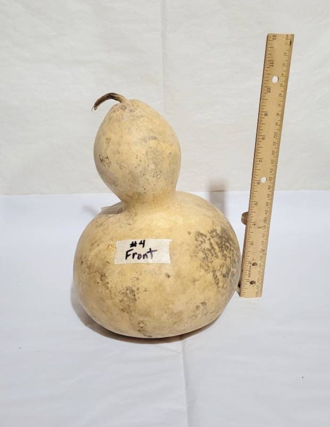 Large Bottle Gourd Etsy
