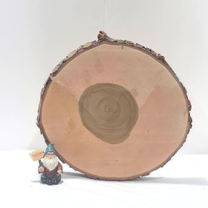 May include: A rustic wooden slice with a bark edge, featuring a central dark brown circle. A small garden gnome figurine with a blue hat and a "Welcome" sign stands beside the wood slice. The wood slice is a natural, decorative item.