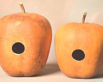 Two (2) Apple Gourd Birdhouses; Bird house gourds; Natural gourds