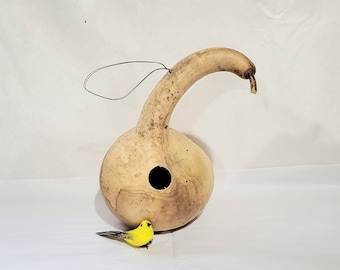 Dipper Gourd Birdhouse, Natural Gourd Birdhouse