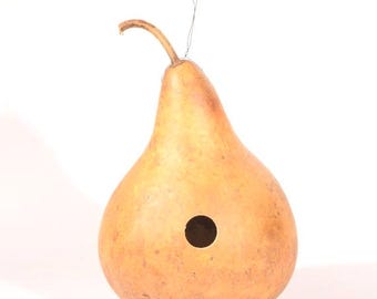 Drilled Birdhouse Gourd: Natural Martin House, Ready to Hang