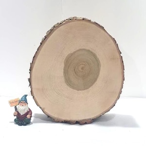 May include: A large, round wooden slice with a natural bark edge. A small garden gnome figurine with a blue hat and a sign that reads "Welcome" is positioned to the left of the wood slice. The wood slice has a light brown color.