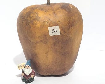 Apple Gourd; Bird house gourd; Natural gourd