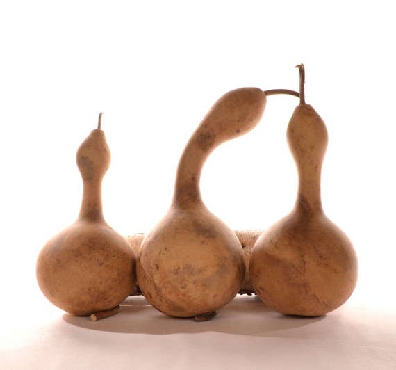 Gourd maracas sale
