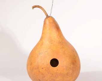 Birdhouse gourd, drilled for birdhouse, natural birdhouse gourd