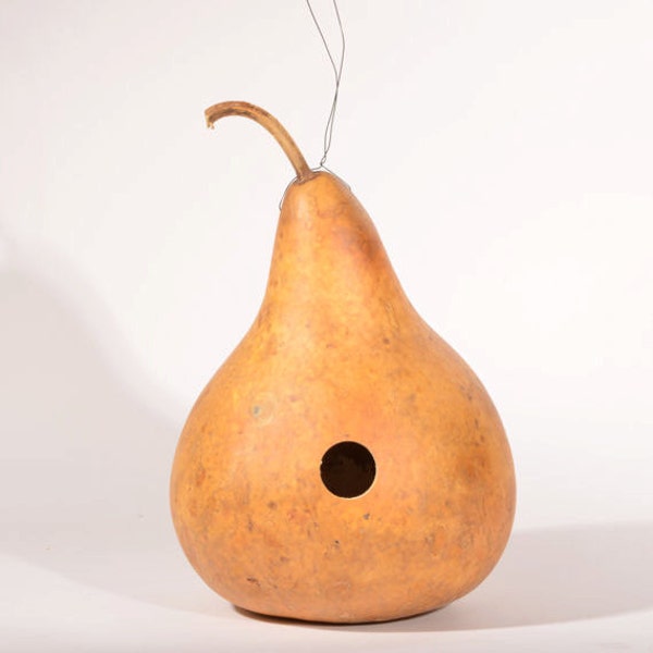 Birdhouse gourd, drilled for birdhouse, natural birdhouse gourd