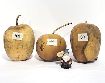 Three (3) Small Apple Gourds