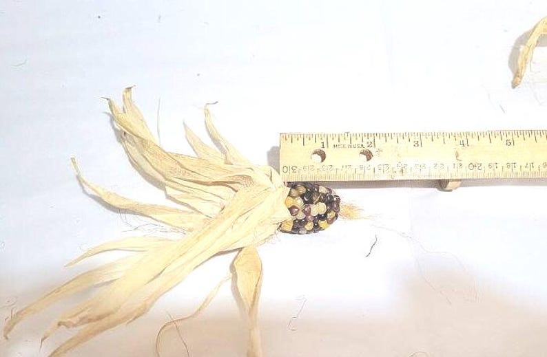 20 Pieces Small Mini Indian Corn, 1-3 Inch Ears - Etsy