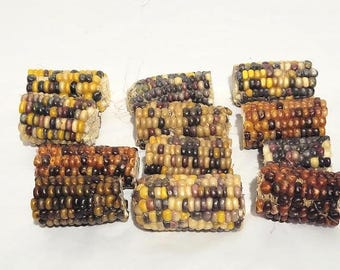 20 Indian Corn Pieces; 2 inch to 3 inch corn pieces; Indian corn for crafts or fall bowl fillers