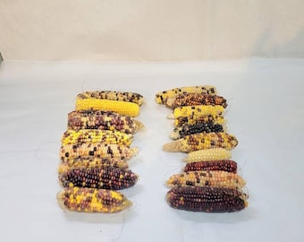 Mini Indian Corn: Dried Colorful Decoration (3-5 Inches)
