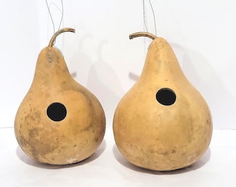 Natural Gourd Birdhouses (Set of 2): Undecorated Martin House