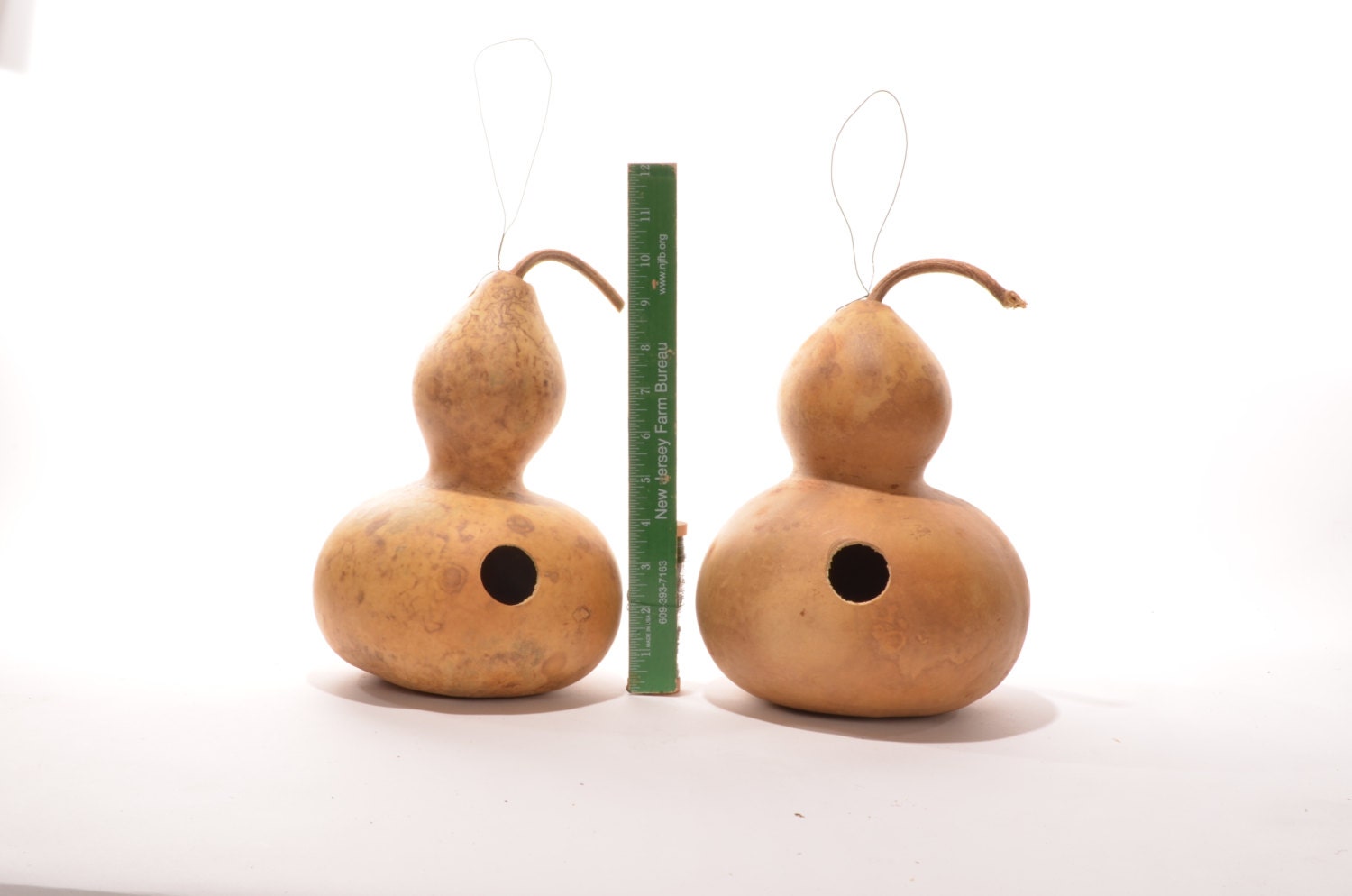 Two (2) Wide Bottle Gourd Birdhouses, natural gourd birdhouse, dried …