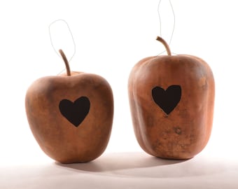 Two (2)  Apple Gourd Birdhouses with Heart Entrance; Bird house gourds; Natural gourds