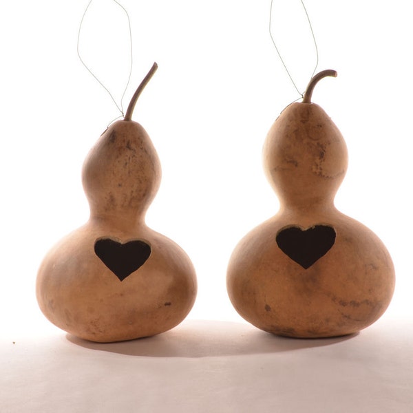 Two (2) Wide Bottle Gourd Birdhouses with Heart Entrance, natural gourd birdhouse, dried gourd birdhouse