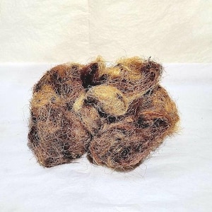Dried Corn Silk for Crafts