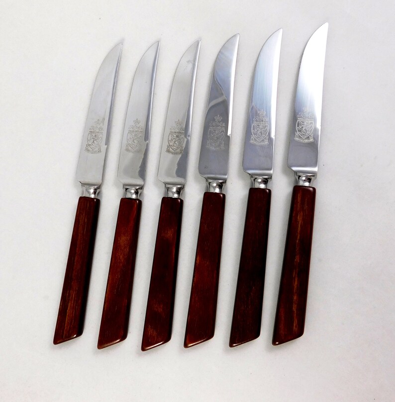 Steak Knife Set of 6 Knives in Holder with Bakelite Handles Etsy