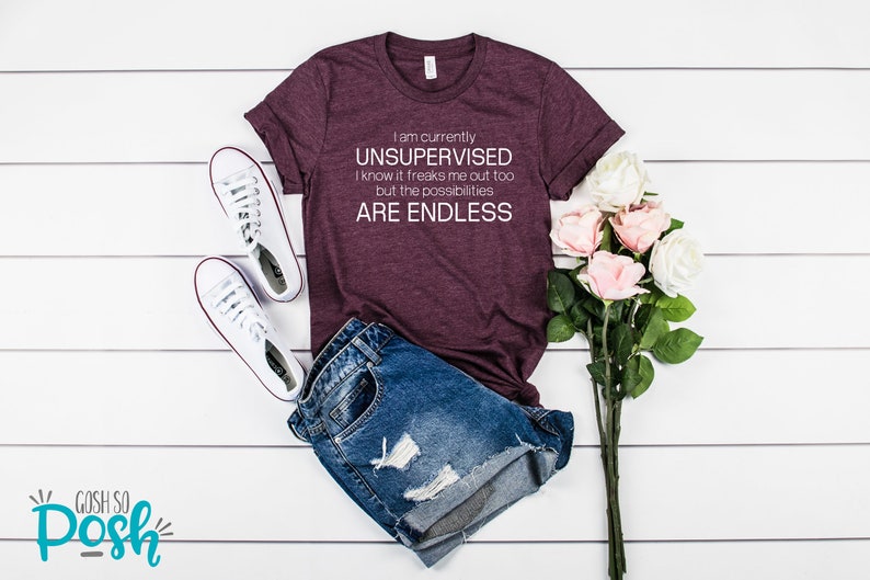 Currently Unsupervised Endless Possibilities Shirt Funny Snarky Shirts With Sayings Unisex Soft Tees Heather Maroon